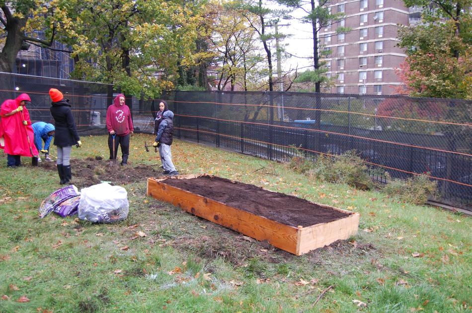 Community garden started