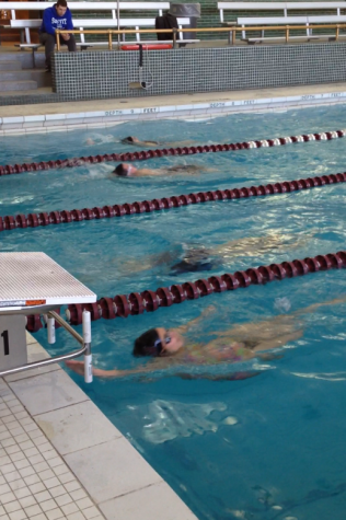 Arianna Rodriguez swimming laps for charity