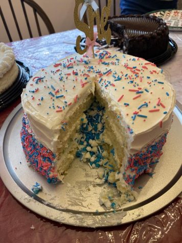 Ms. Zatorens Gender-Reveal Cake