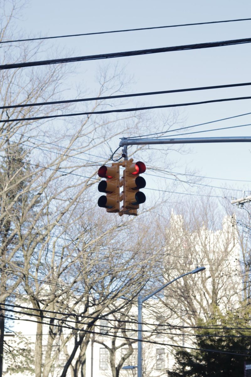 Mixed Reviews on traffic light