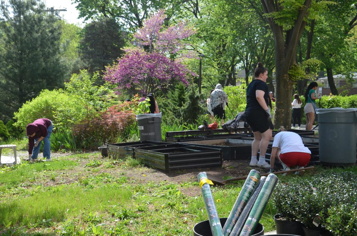 Students help clean campus