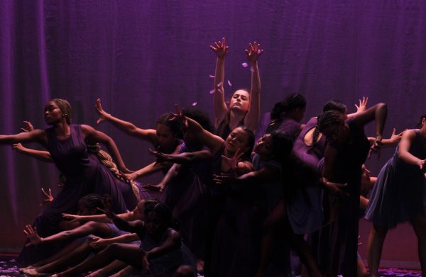 Dance company gives preview to classes